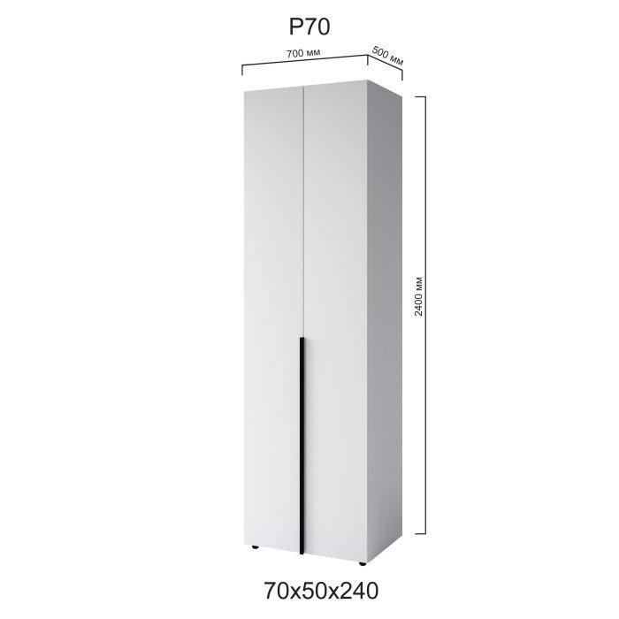 Распашной шкаф Р70 700x500x2400 мм