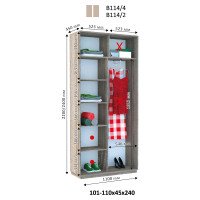 Шкаф купе Виват В-114 h=2200 мм