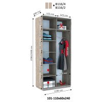 Шкаф купе Виват В-116 h=2200 мм